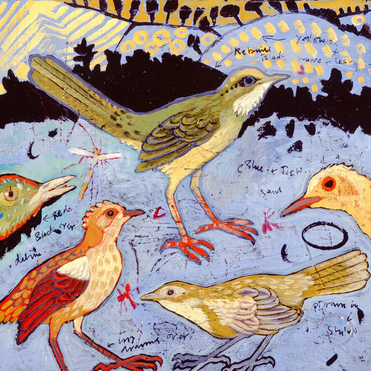 Pequenos pássaros, 2006 (acrílico) de Anna Pugh