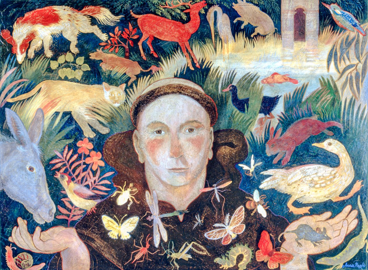 São Francisco de Anna Pugh