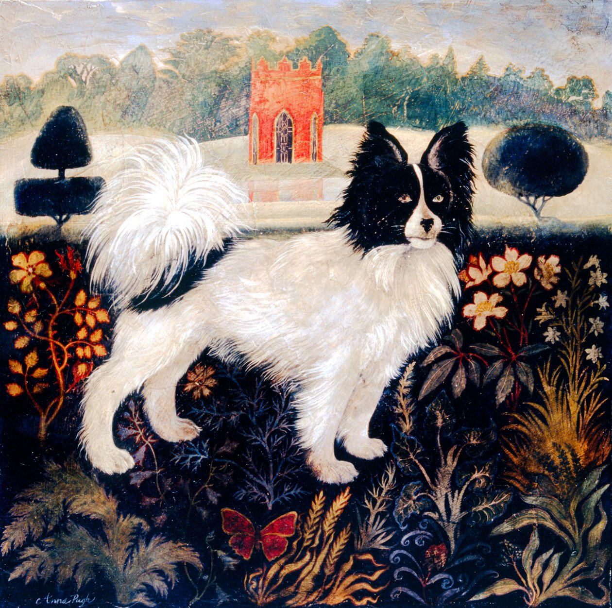 Tricias Pom de Anna Pugh
