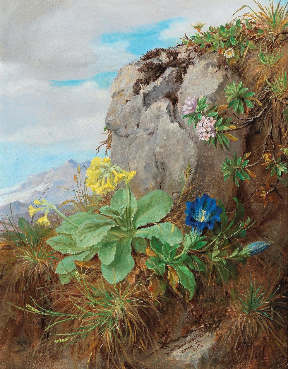 Flores de Alpino de Anna Stainer Knittel