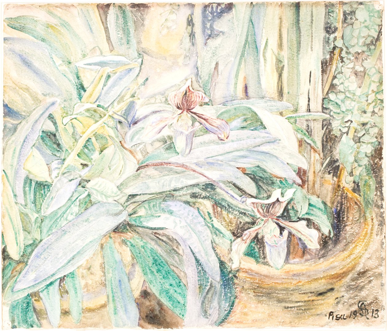 Orquídeas, Jardim Botânico, Pisa de Anna Syberg