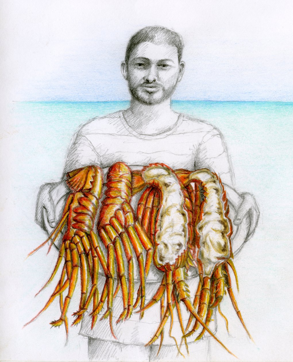 Lagosta, 2019 (lápis e lápis de cor) de Annalisa Morrocco