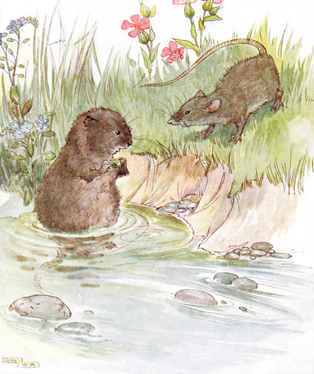 &39;Chamado Squire Water Rat, velho amigo da família&39;, ilustração de &39;The Mischievious Mousie Book&39;, publicado por Thomas Nelson und Sons, década de 1920 de Anne Anderson