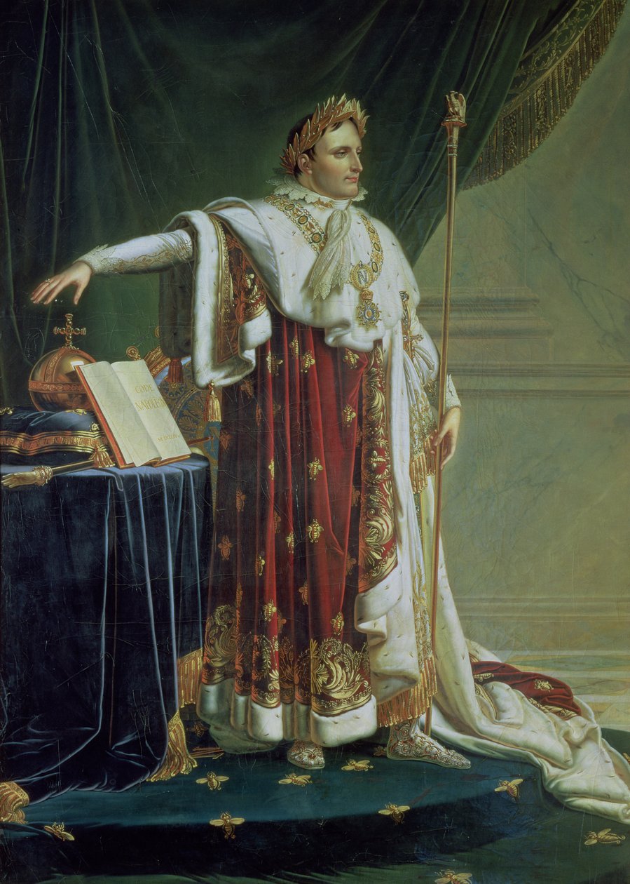 Retrato de Napoleão I em suas vestes de coroação, 1804 de Anne Louis Girodet de Roucy Trioson