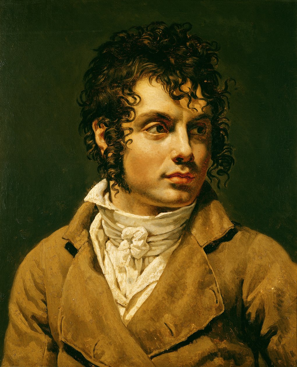 Retrato de um homem de Anne Louis Girodet de Roucy Trioson