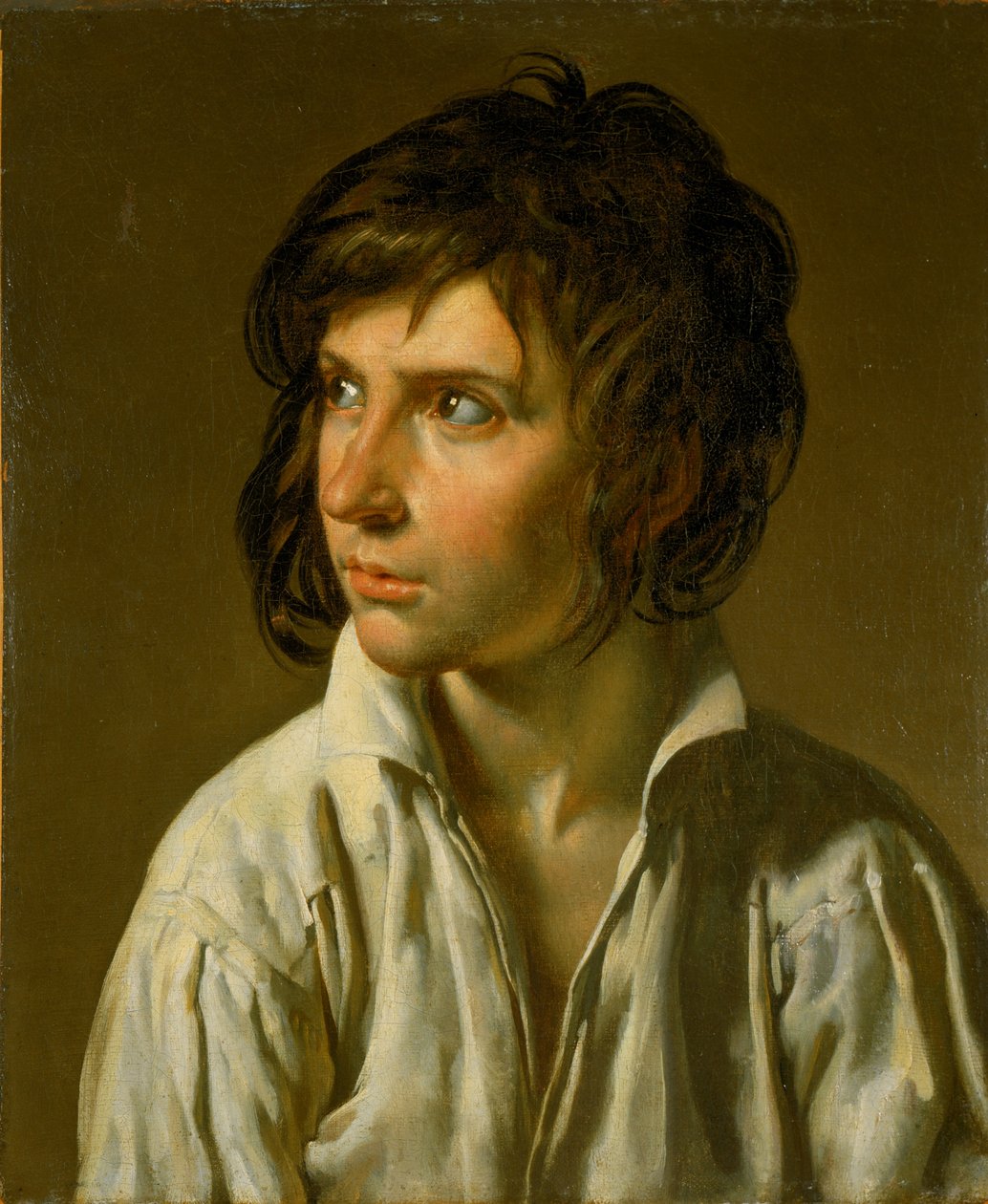 Retrato de um jovem de Anne Louis Girodet de Roussy Trioson