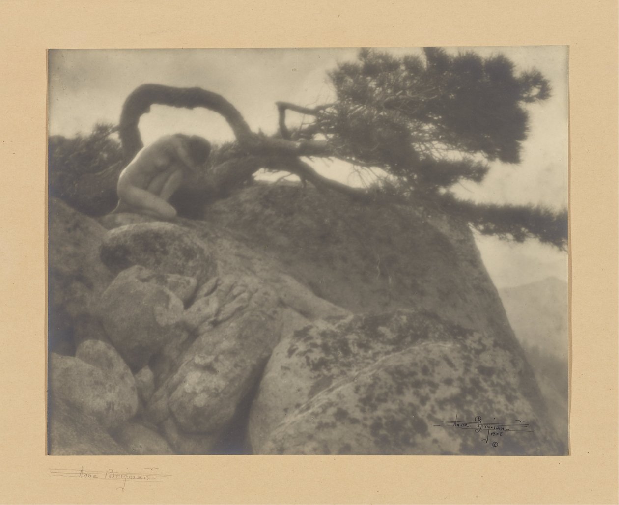 O pinheiro solitário de Anne W. Brigman