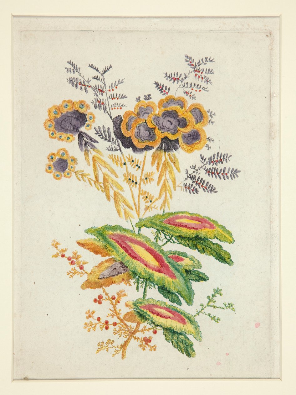 Fantásticas flores, de Nova Suíte de Cadernos de Flores Ideais para o Uso de Designers e Pintores de Anne Allen