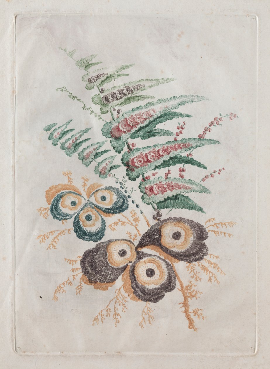 Novo Conjunto de Portfólios de Flores Ideal para Usar no Desenho e Pintura: Fantasias Florais de Anne Allen
