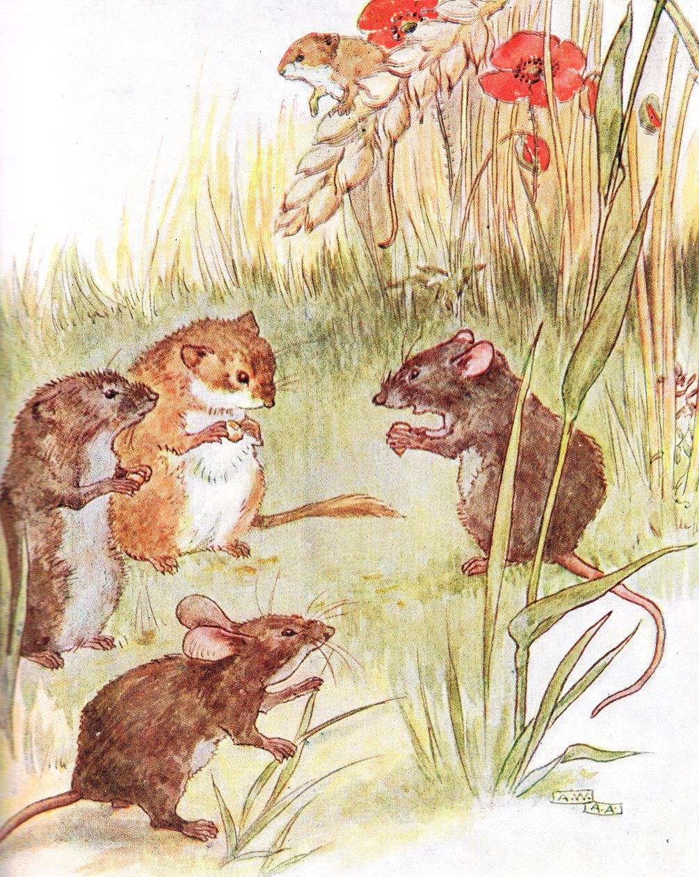&39;Estou ficando com amigos no país&39;, ilustração de &39;The Mischievious Mousie Book&39;, publicado por Thomas Nelson und Sons, década de 1920 de Anne Anderson