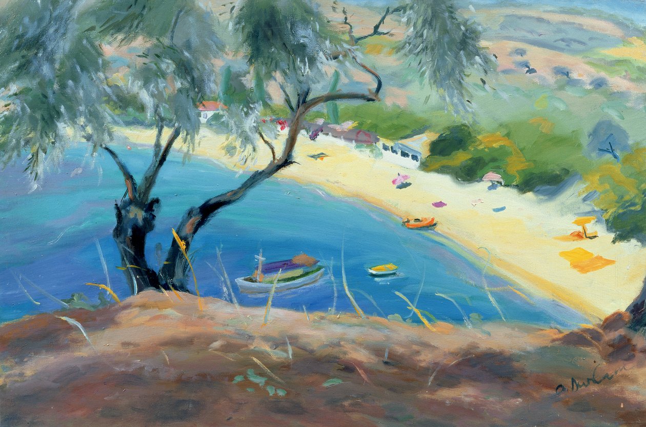 Baía de Achladies, Skiathos, Grécia, 1985 de Anne Durham