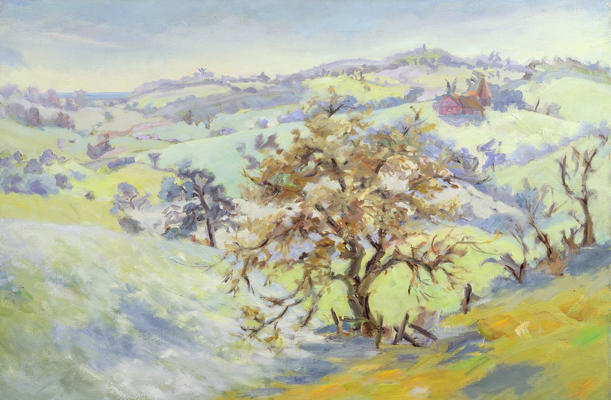 De Udimore para Peasmarch, Sussex, no inverno de Anne Durham