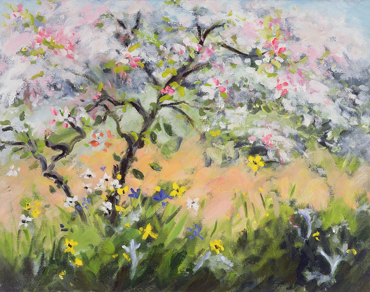 Flor de primavera de Anne Durham