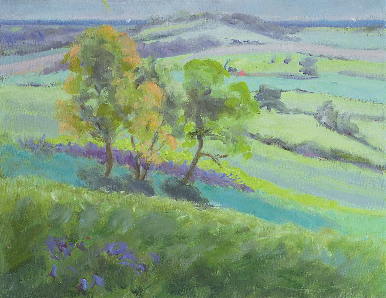 Em direção a Winchelsea, Sussex, com Bluebells na primavera de Anne Durham