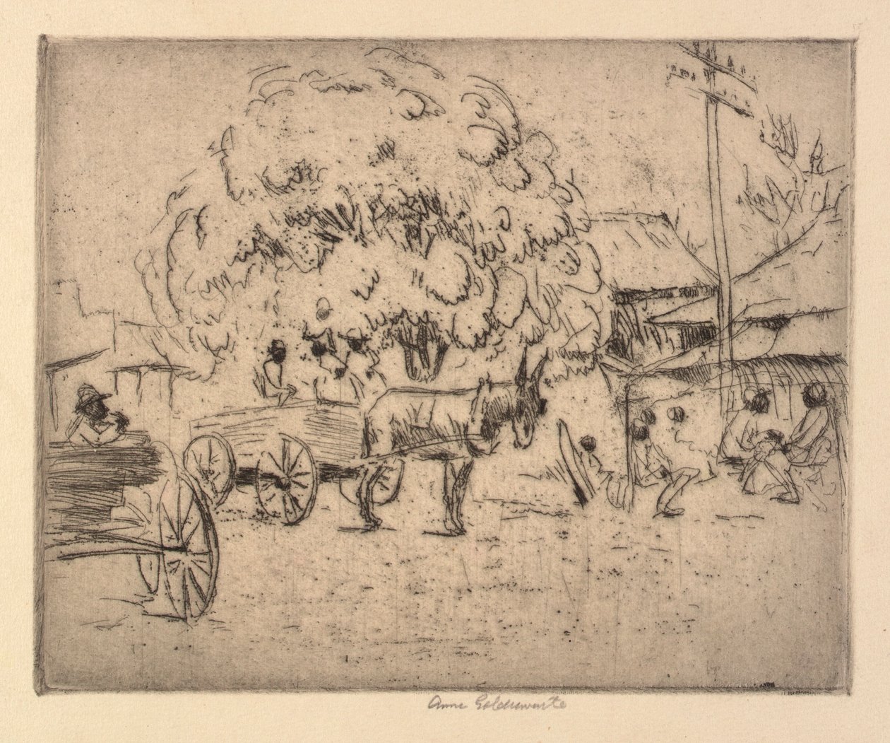 Secção de Negócios de Boquehomo de Anne Goldthwaite