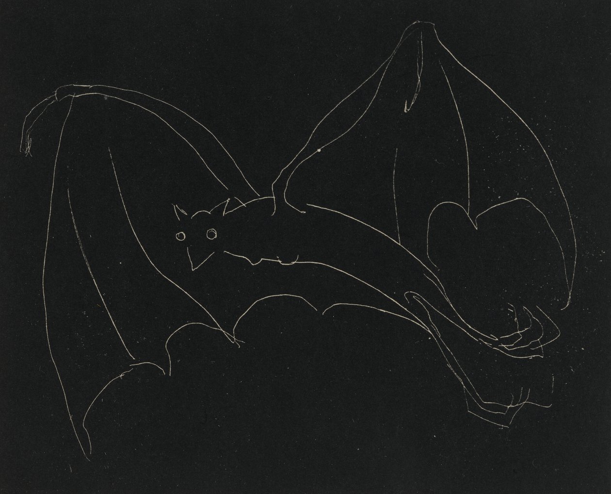 Série da noite: The Bat (gravura, linha branca em papel de capa) de Anne Goldthwaite