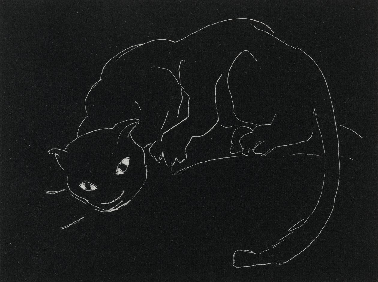 Série Noturna: O Gato (lito, linha branca em papel de capa) de Anne Goldthwaite