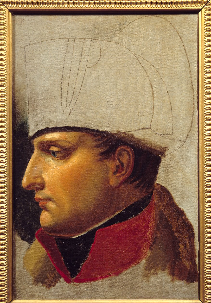 Retrato do estudo de Napoleão I (1769-1821) para a entrega das chaves da cidade de Viena em 13 de novembro de Anne Louis Girodet de Roucy Trioson