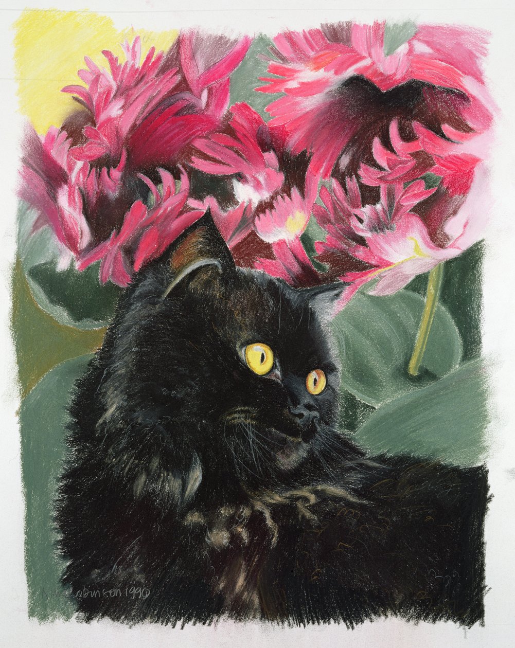 Tulipas negras de Anne Robinson