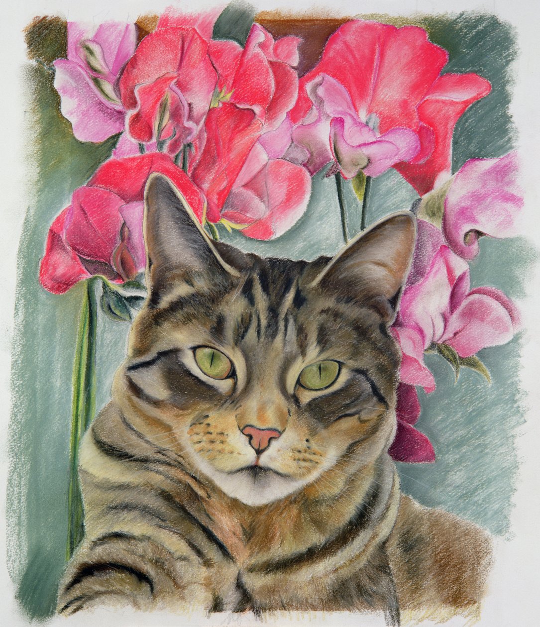 Gato, com, ervilhas doces de Anne Robinson
