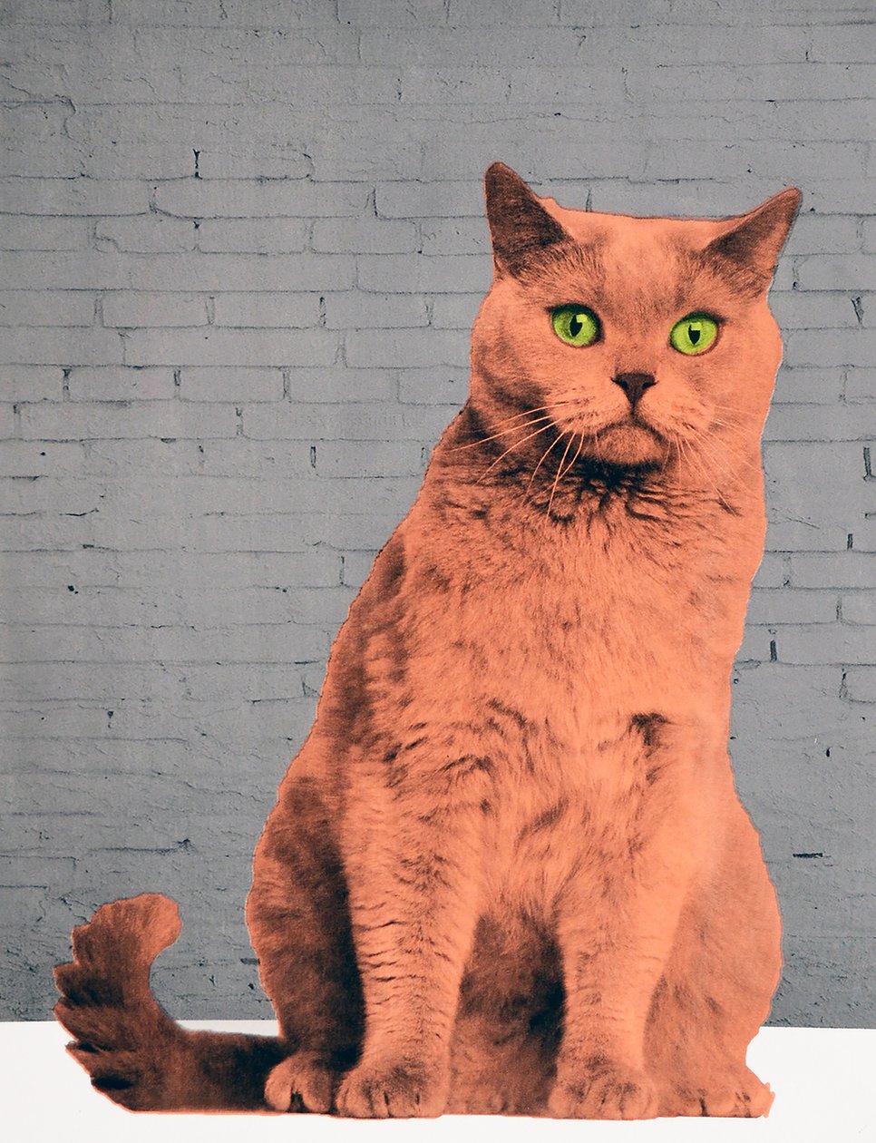 Toda a gente quer ser um gato, 2017 de Anne Storno