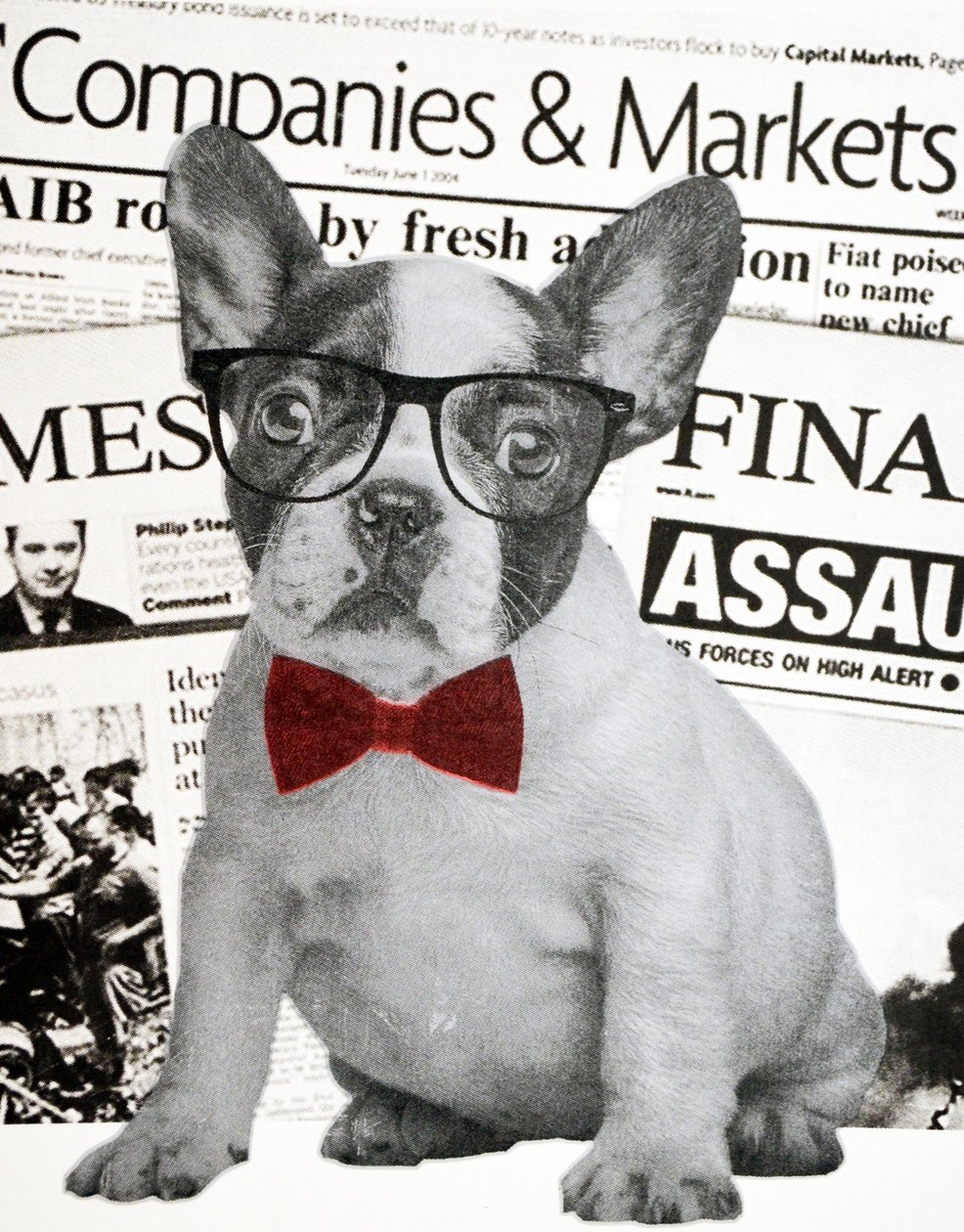Wall street dog, 2015 de Anne Storno