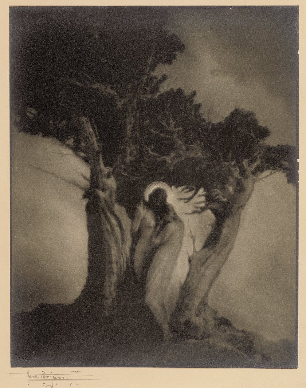 O Coração da Tempestade de Anne W. Brigman