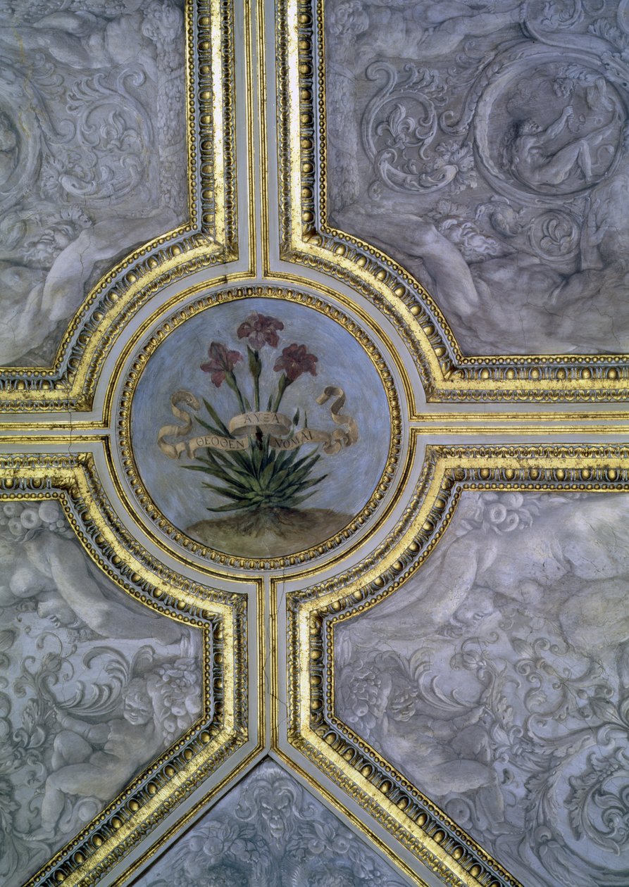 Decoração de teto floral, do &39;Camerino&39;, 1596 de Annibale Carracci