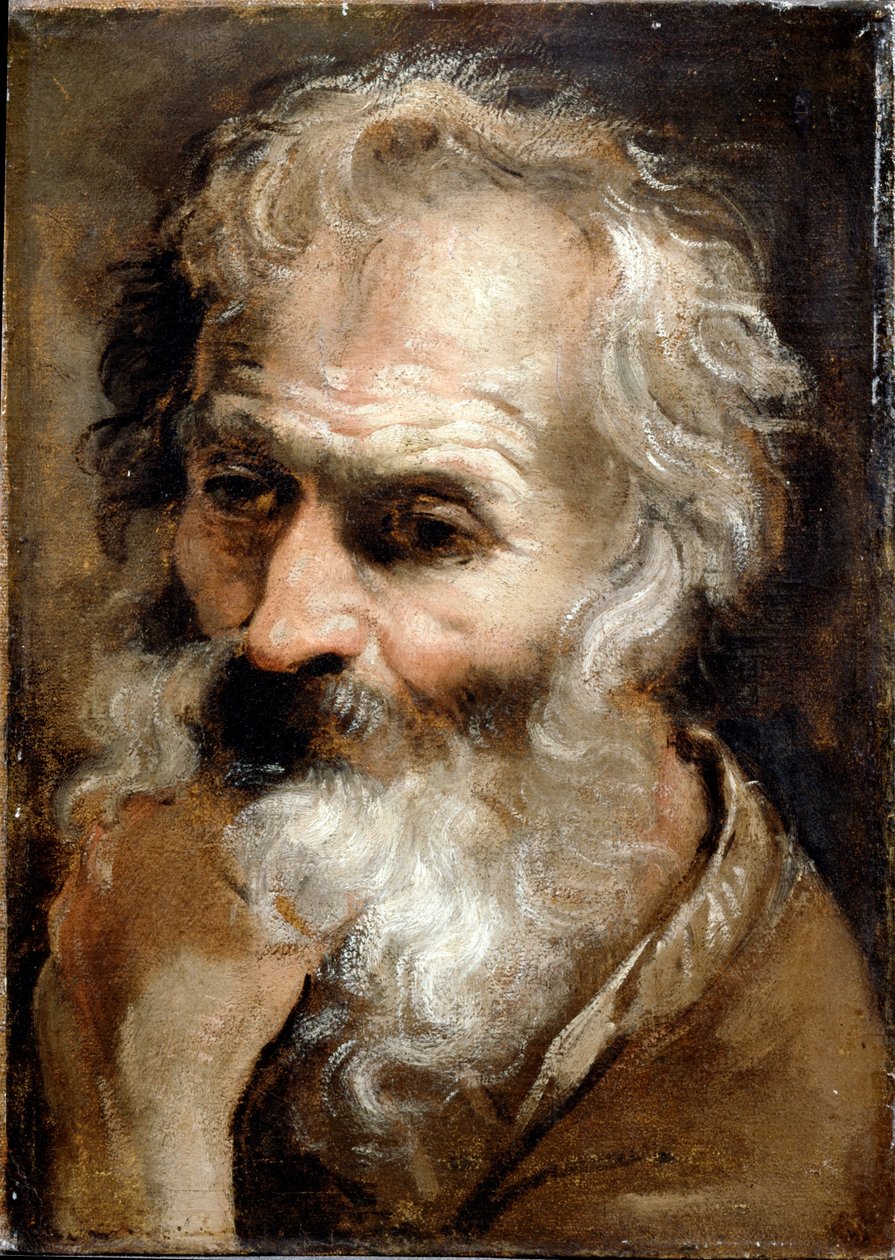 Cabeça de um homem velho de Annibale Carracci