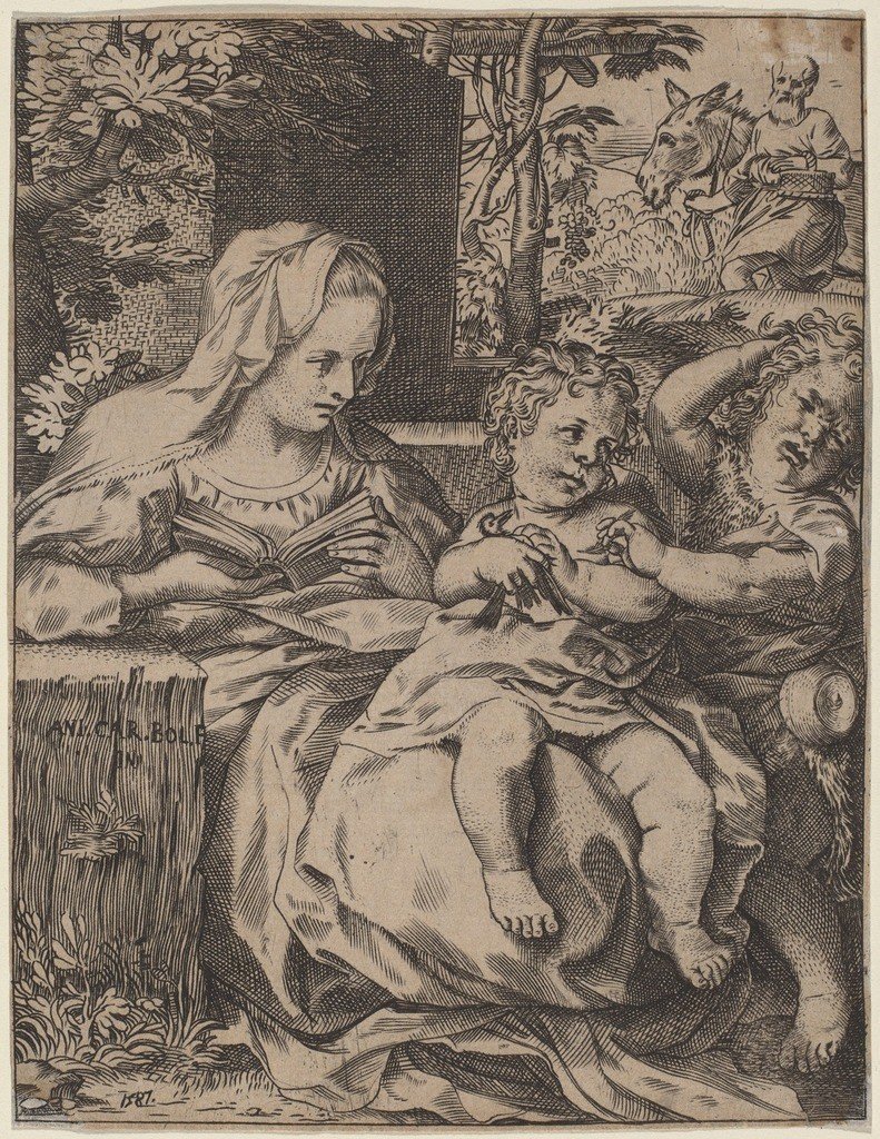 Madonna da andorinha de Annibale Carracci
