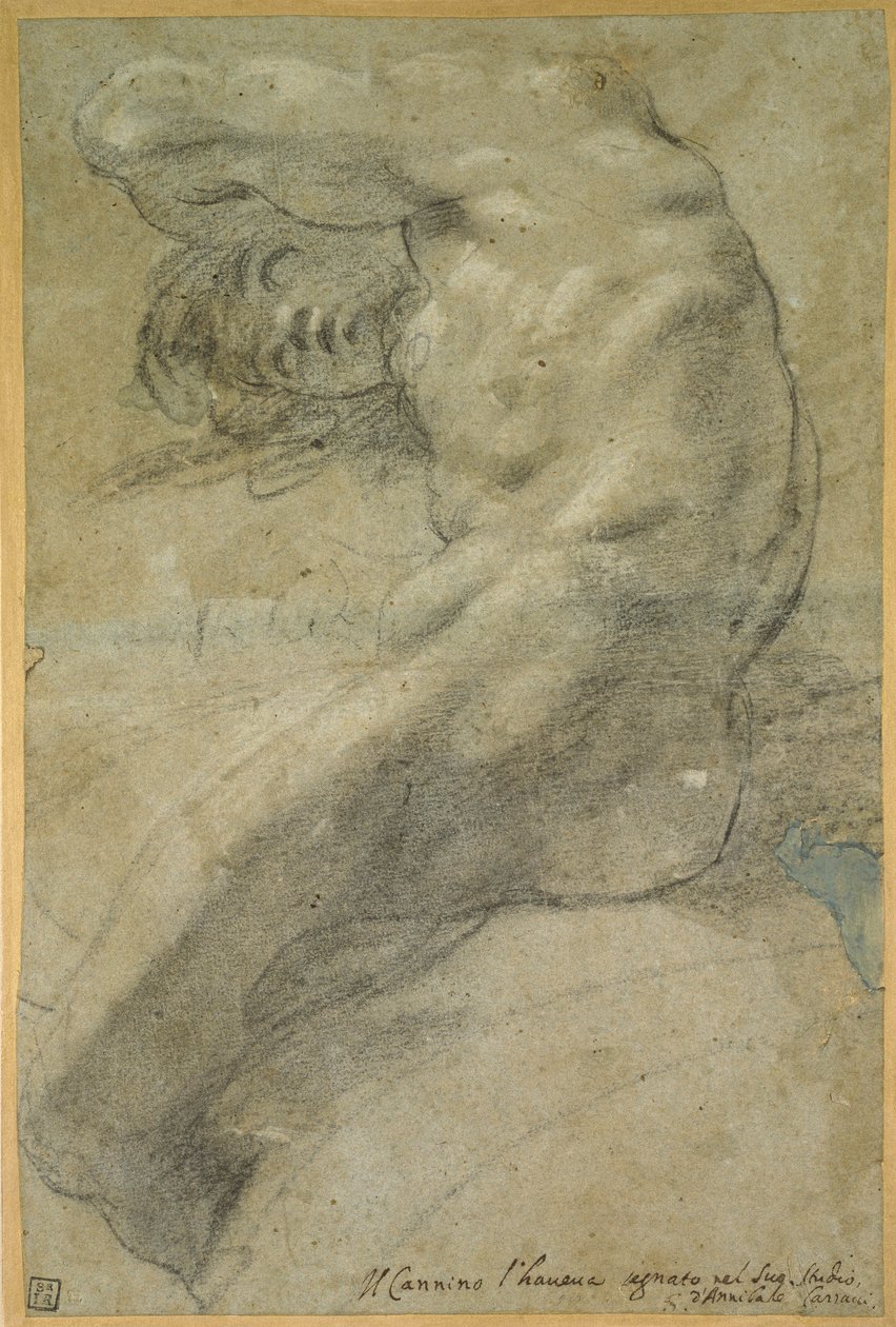 Estudo de um homem nu de Annibale Carracci