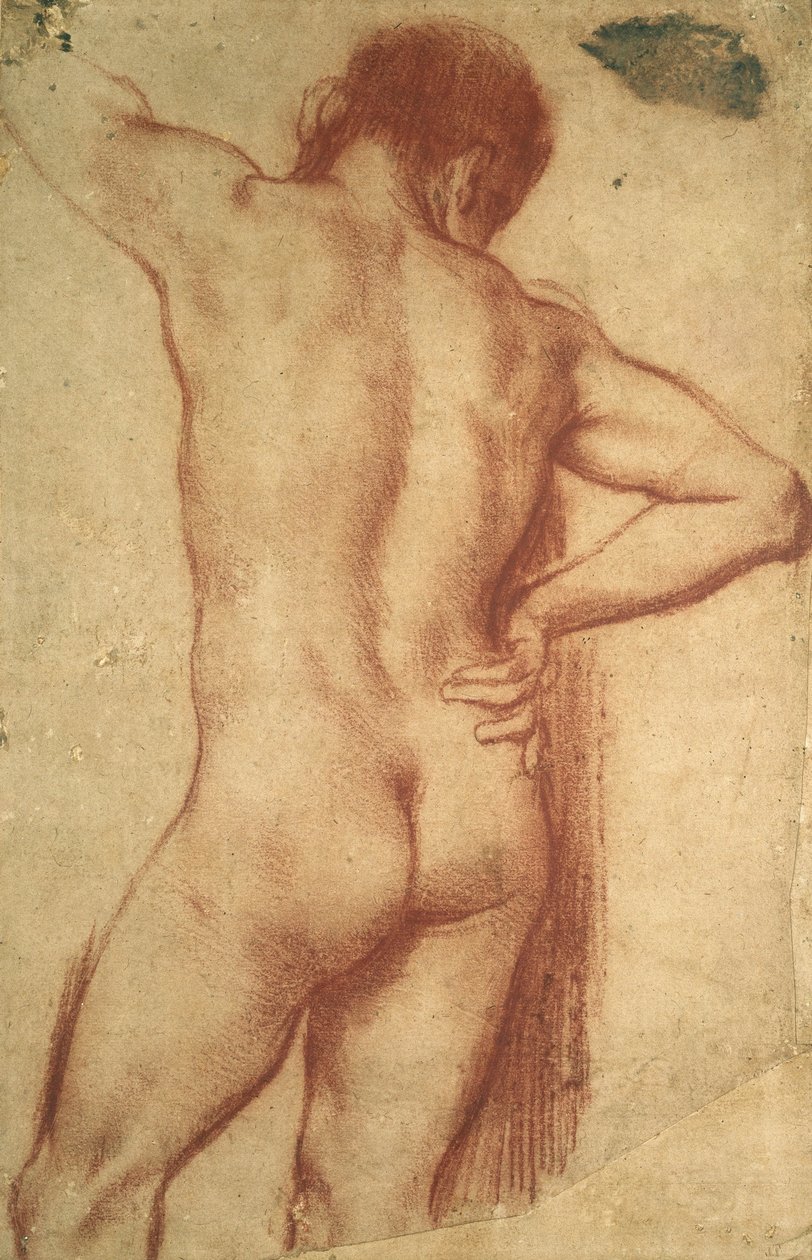 Estudo de um homem nu de Annibale Carracci