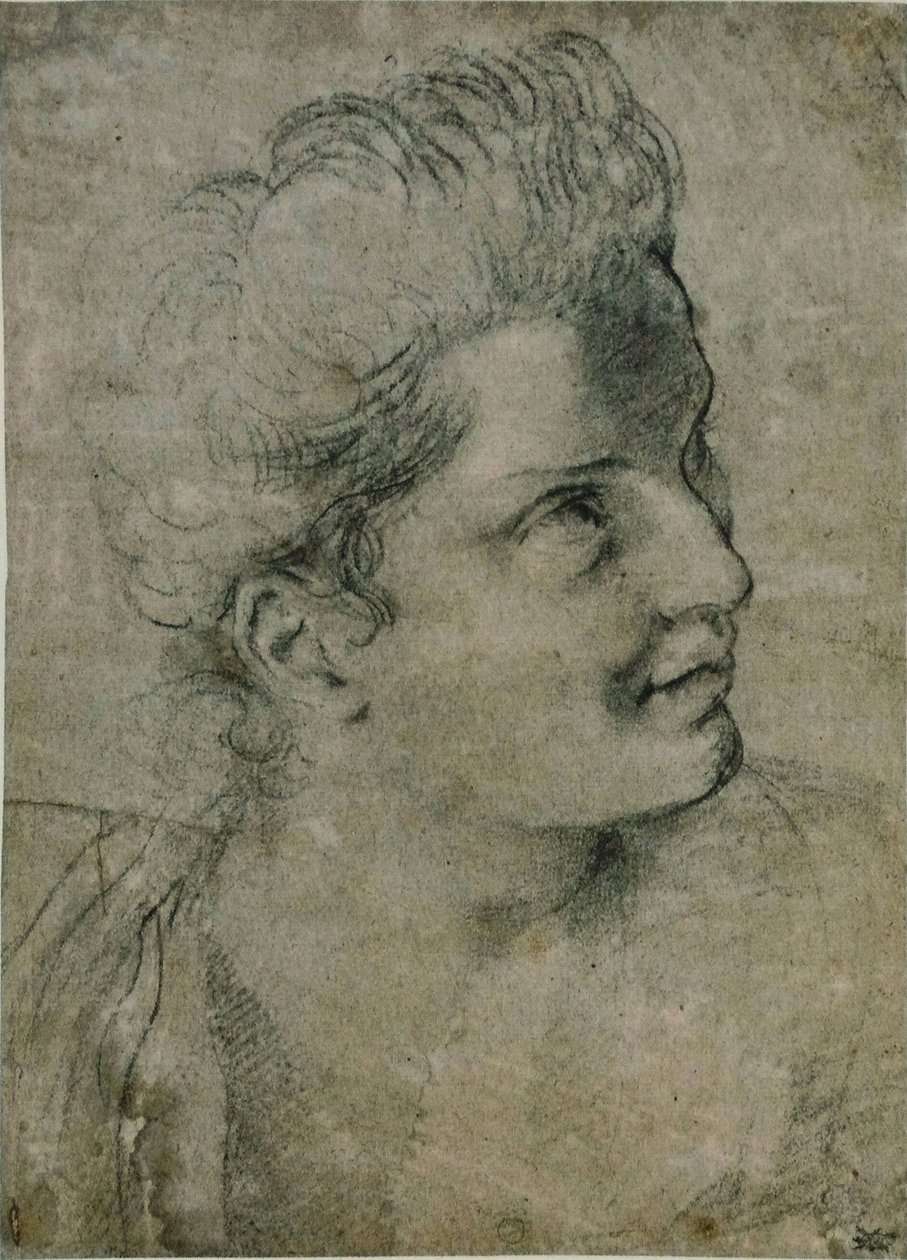 Cabeça da mulher de Annibale Carracci