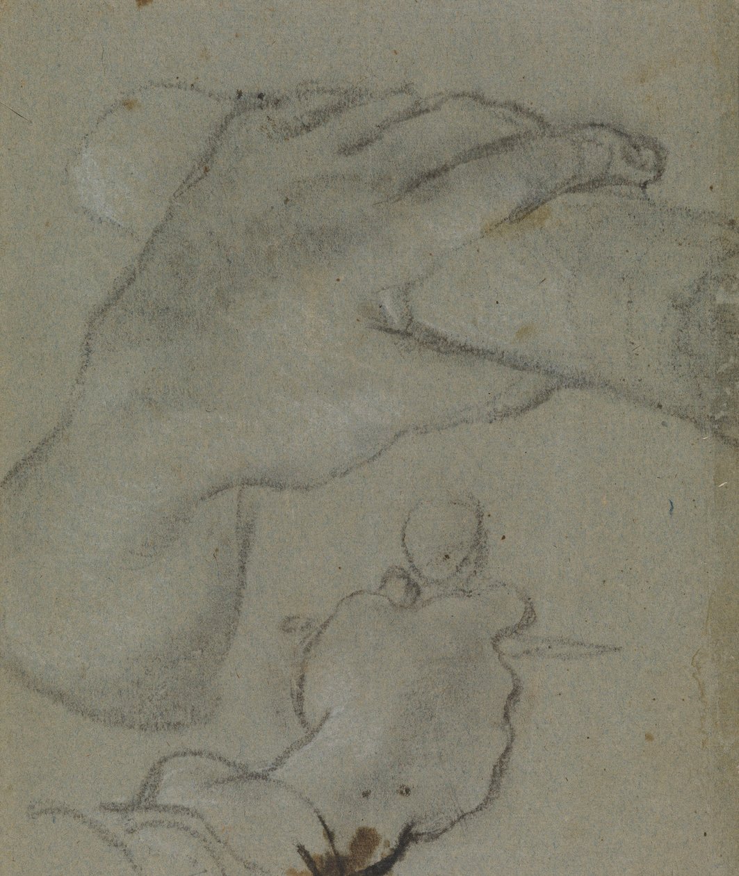 Carracci - estudo em v para as mãos de São João d