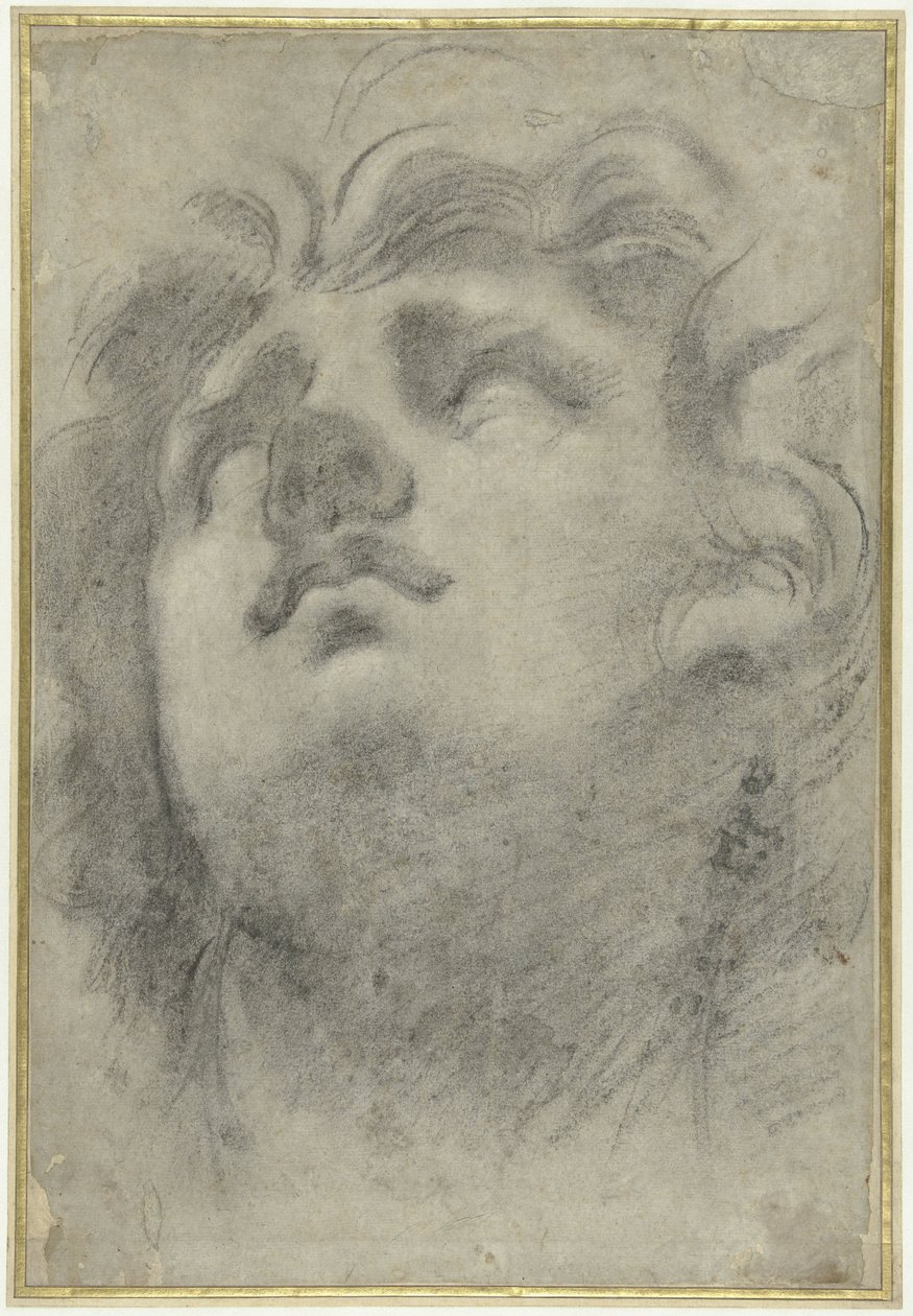Olhando a cabeça de um tritão de Annibale Carracci