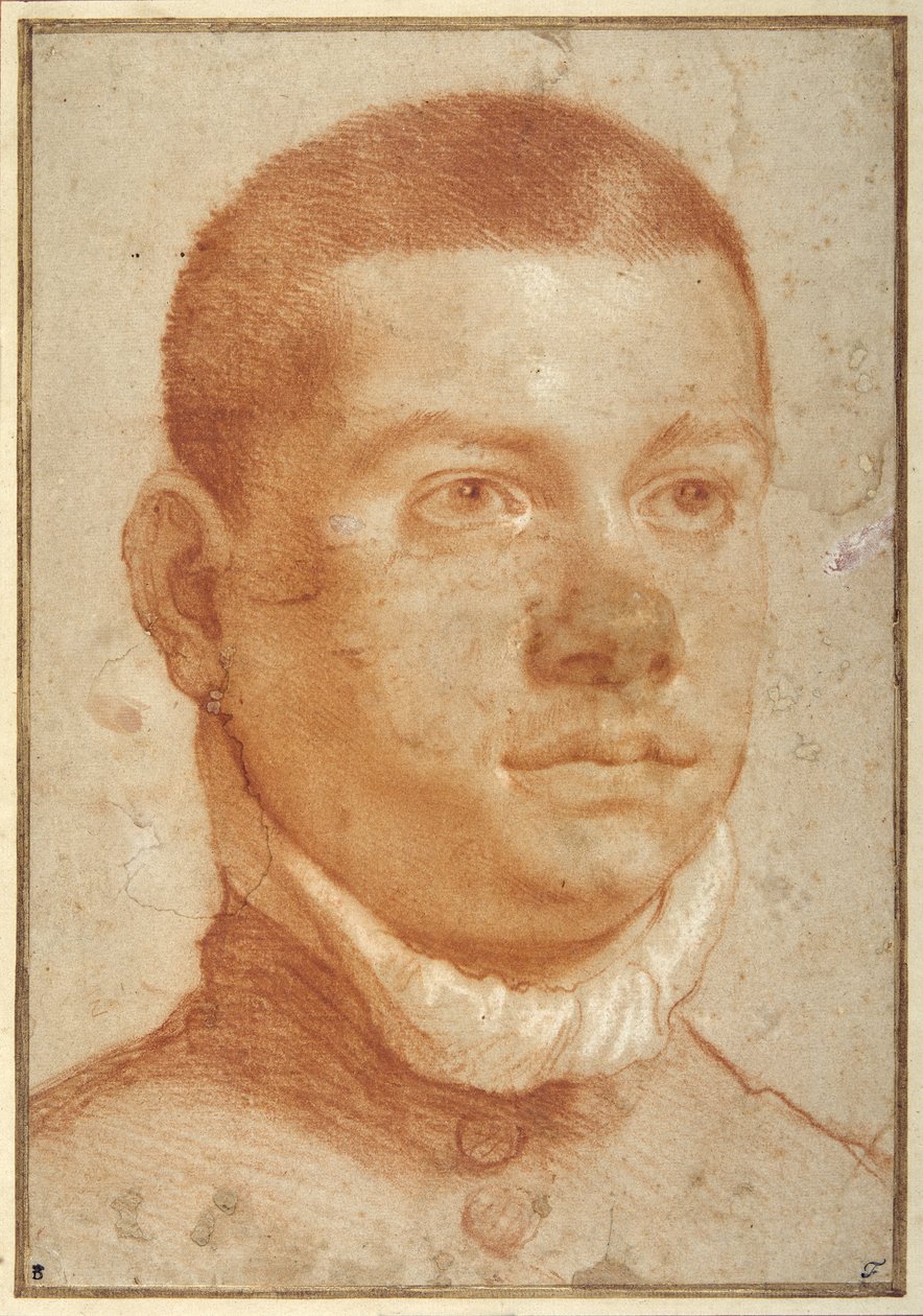 Cabeça de retrato de um homem jovem (giz vermelho) de Annibale Carracci