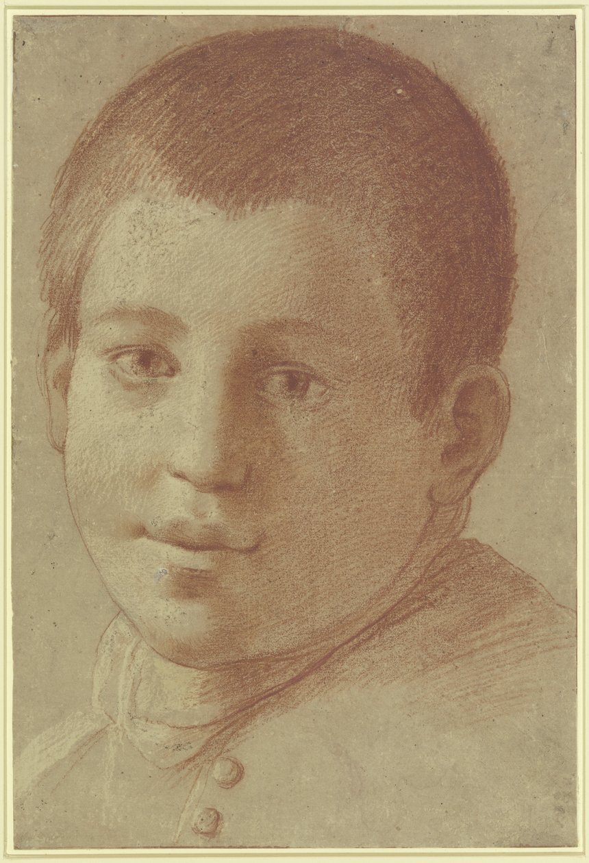 Retrato de um rapaz de Annibale Carracci