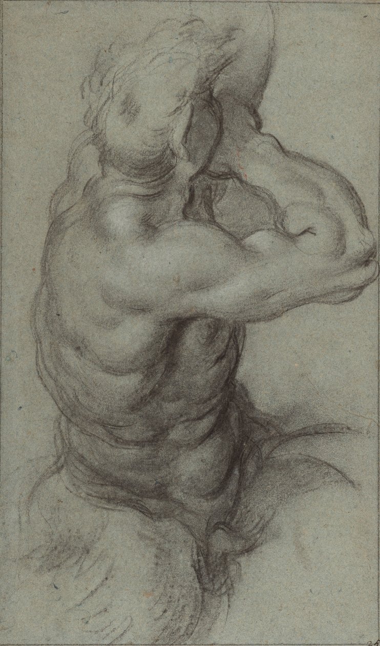 Estudo de Tritão a soprar uma concha (recto); Estudo parcial de um braço (verso) de Annibale Carracci