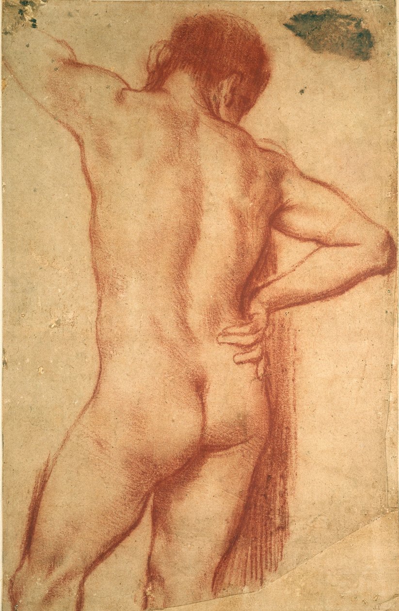 Estudo de um homem nu, século XVII de Annibale Carracci