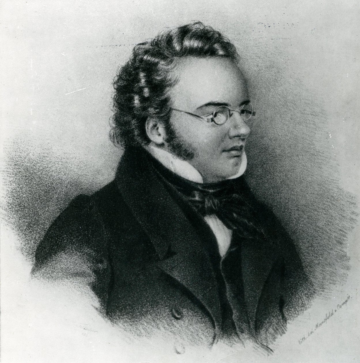 Retrato de Franz Schubert (1797-1828) de Unbekannt Unbekannt