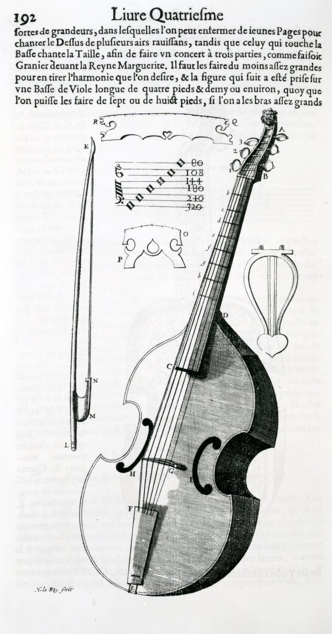 Viola, 1636 de Unbekannt Unbekannt