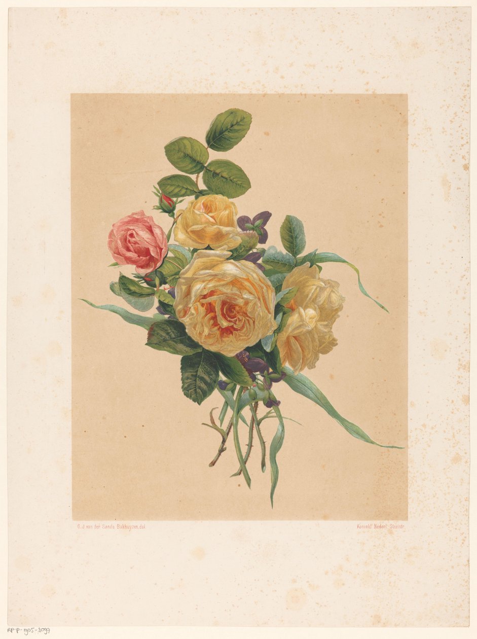 Bando de rosas e violetas de Anonymous