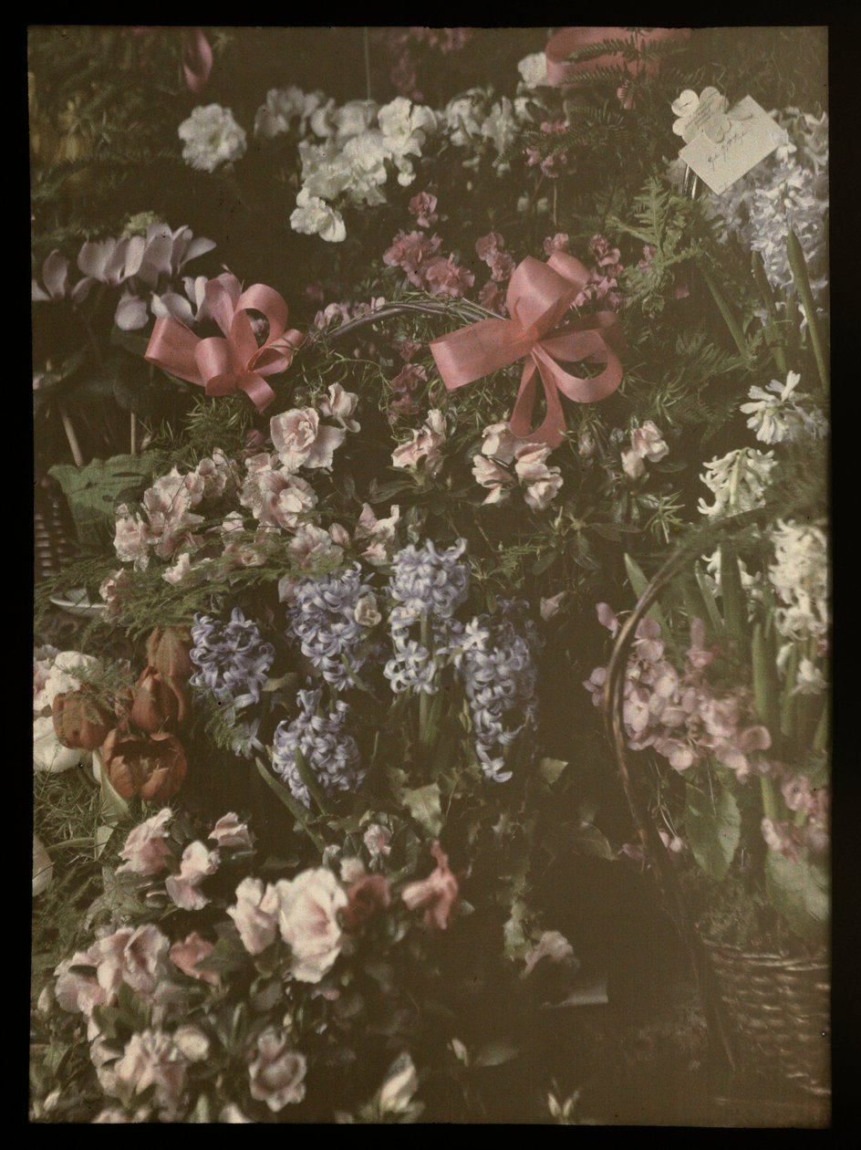 Cachos de flores com arco, cesto e cartão de Anonymous
