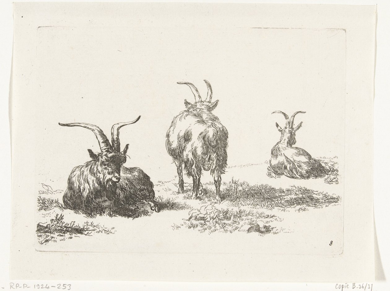 Três cabras
Cabras e ovelhas para N.P. Berchem (título da série) de Anonymous