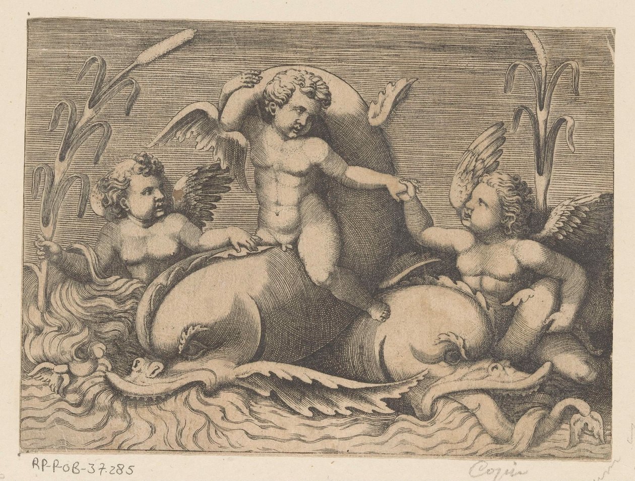 Três putti com golfinhos de Anonymous