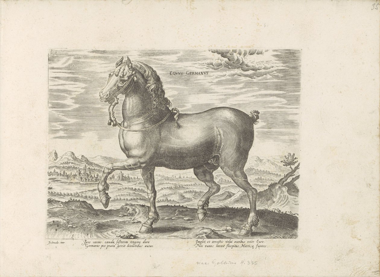 Parque de duits Cavalo alemão (título no objeto) Paardenrassen uit de Koninklijke stallen van Don Juan van Oostenrijk (título da série) O cavalo, no qual todos os tipos de nobres: o comportamento de cavalos distintos de várias partes do mundo selecionado ( de Anonymous