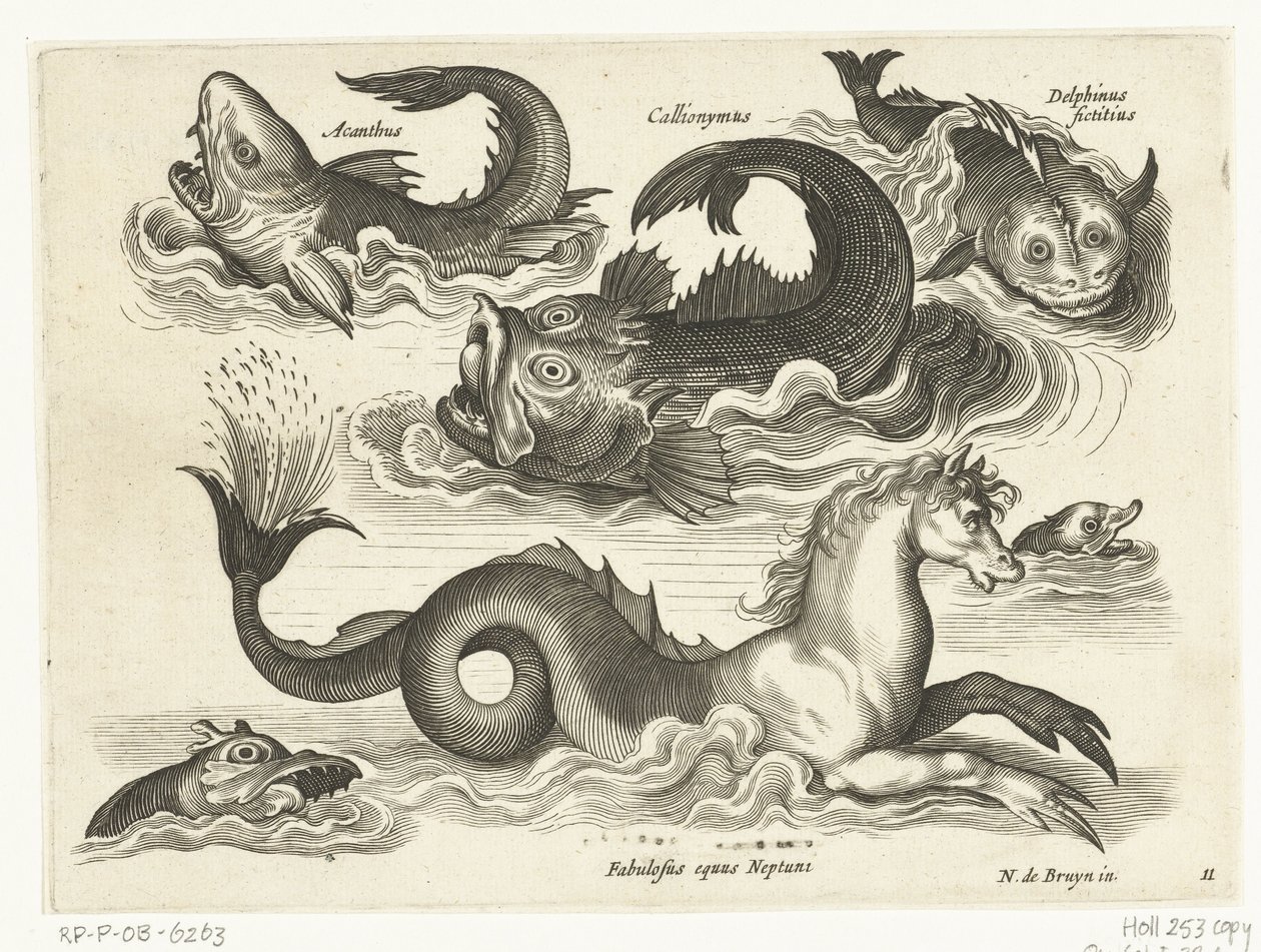 Fantásticos animais aquáticos, incluindo o cavalo marinho
Libelivs varia Genera piscium complectens (título da série)
Peixes de água doce, peixes de mar, sapos, crustáceos e criaturas do mar (título da série) de Anonymous