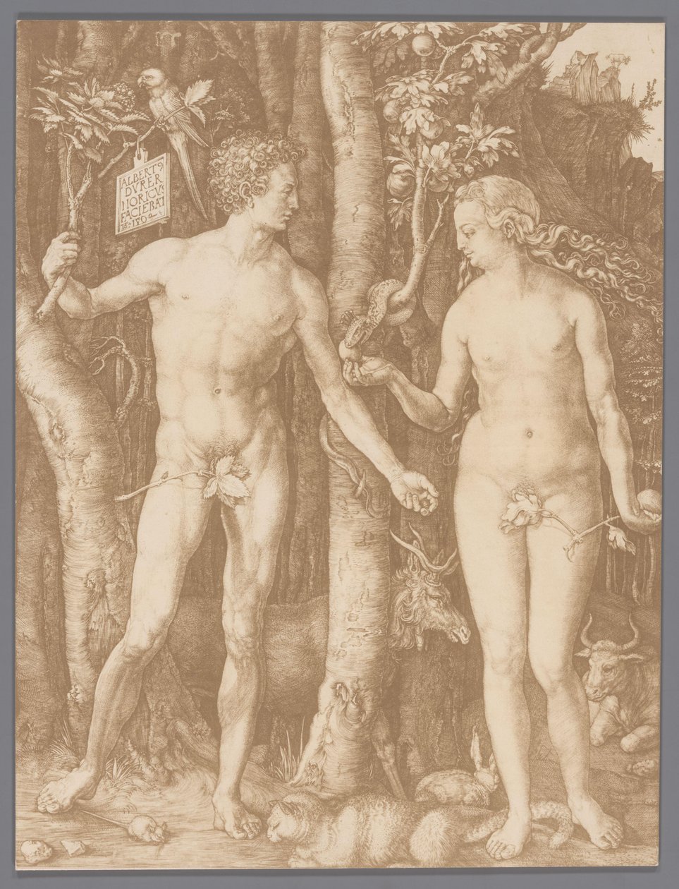 Reprodução fotográfica da gravura Adão e Eva de Albrecht Dürer de Anonymous