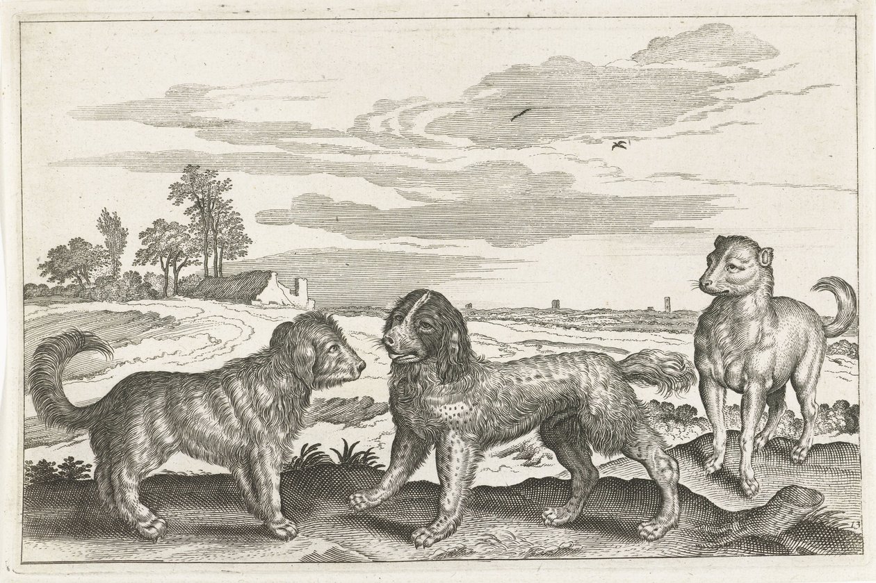 cães Animais de quatro patas (título da série) Animalivm Qvaddrvpedvm (título da série) de Anonymous