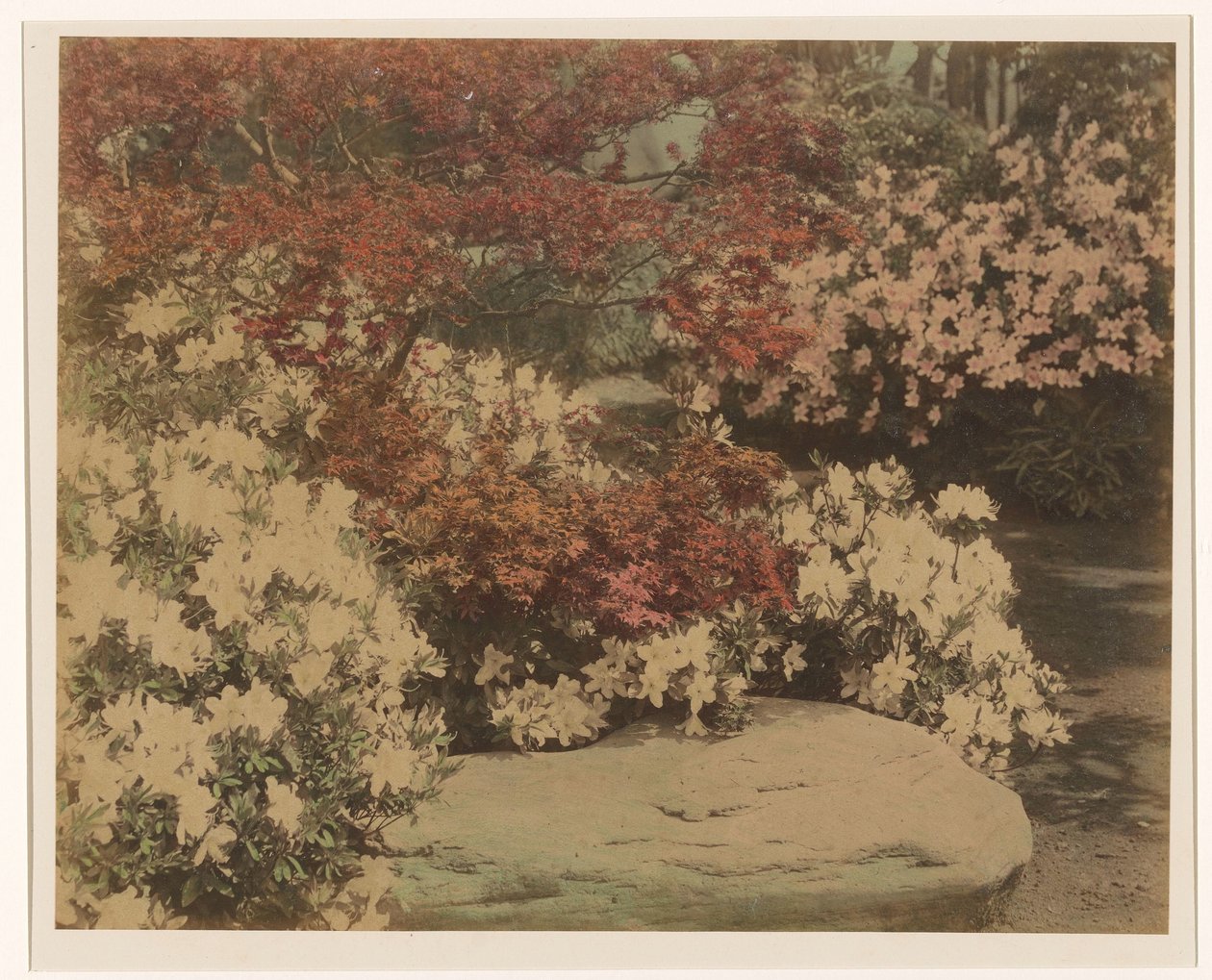Jardim japonês com flores de Anonymous
